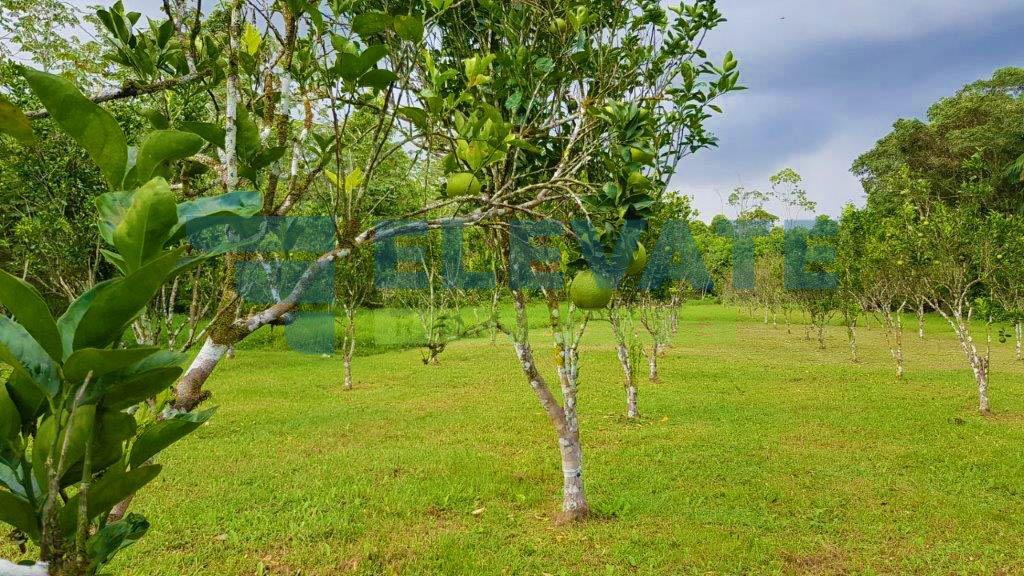 HRV0181 in Wanica - foto 17
