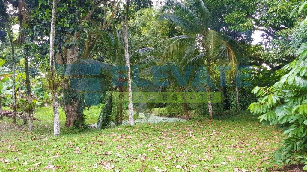 HRV0181 in Wanica - foto 4