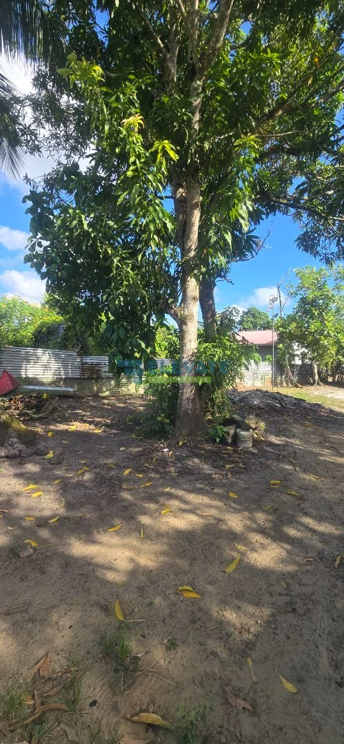 HRV0275 in Wanica - foto 15